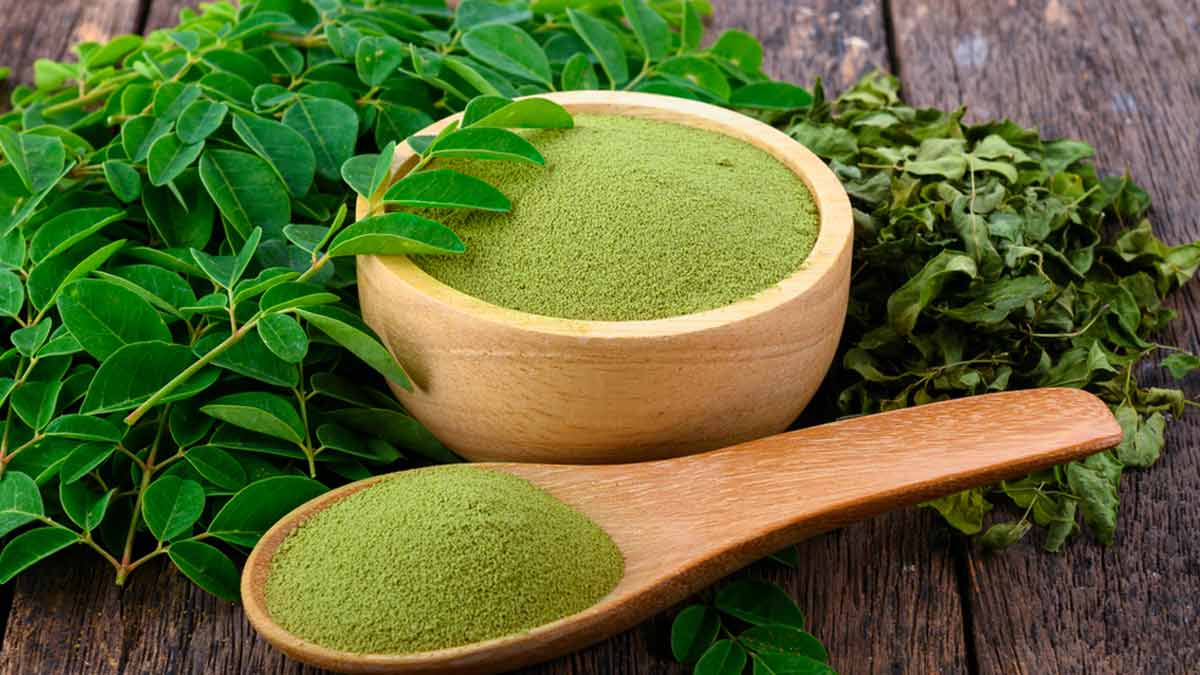 Moringa Powder - Dev Tandoor Industries
